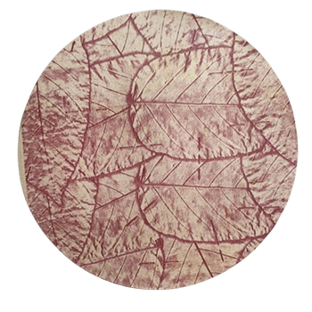 Circle Paper Plate Manufacturer